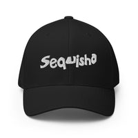 Sequish-i-a Embroidered Closed-Back Flexfit Hat